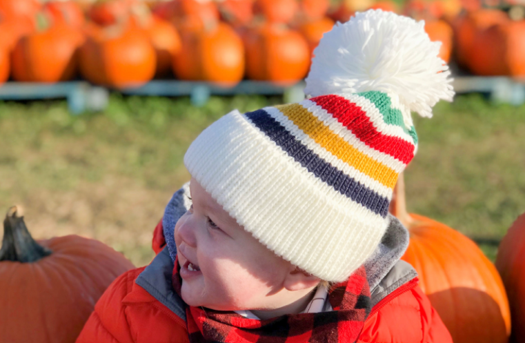 Little boy in a pumpkin patch