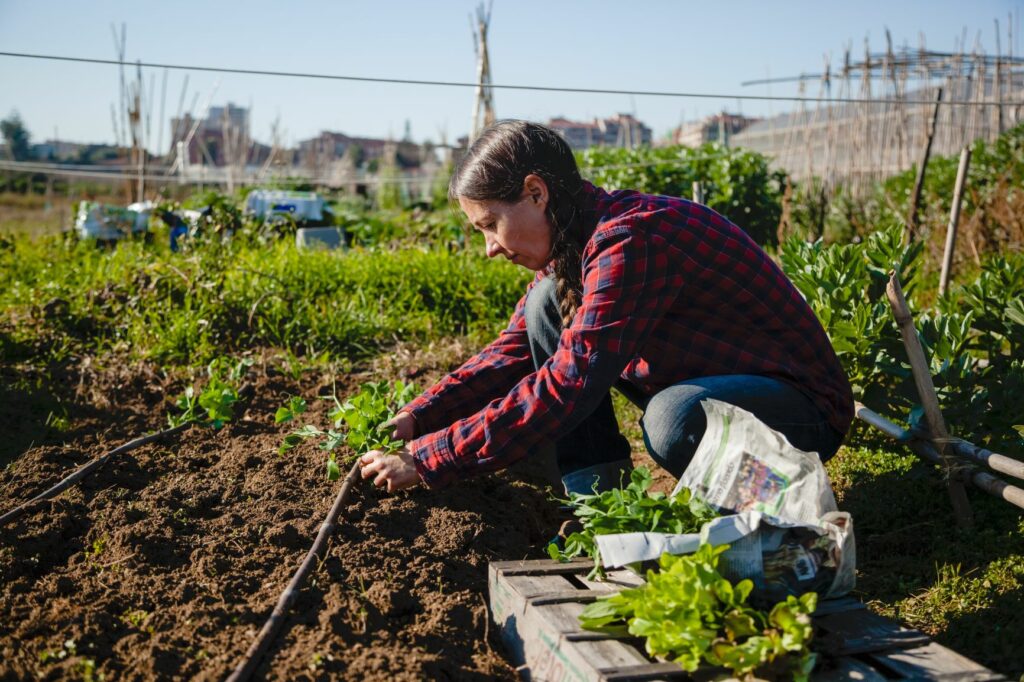 A person working in a garden